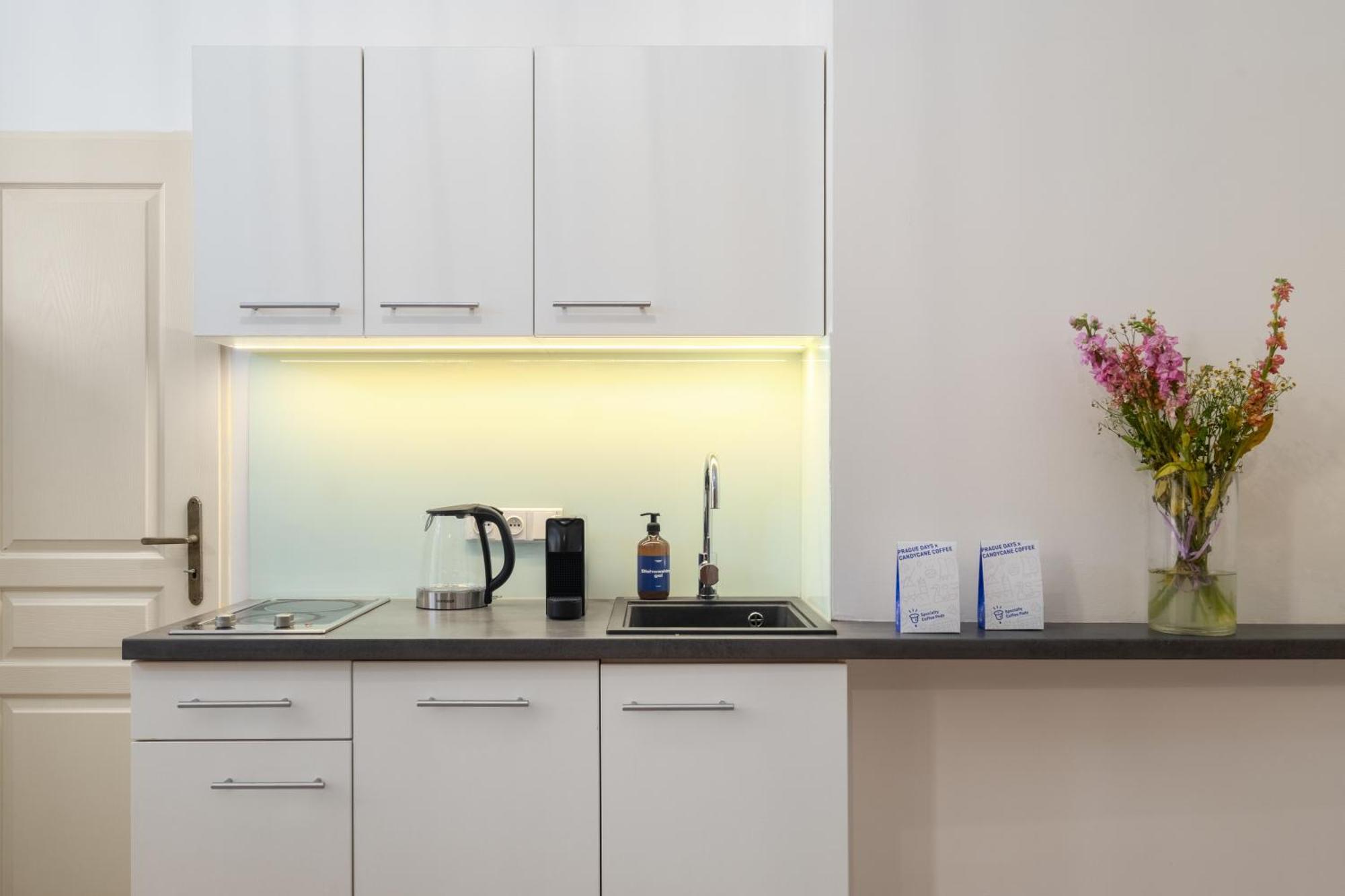 Stru House By Prague Days - Luxurious Apartments Next To National Theatre Екстер'єр фото